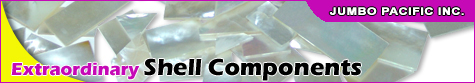 shell components
